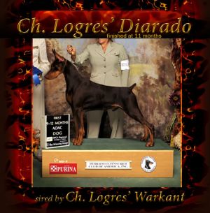 Ch. Logres' Diarado by Ch. Logres' Warkant 